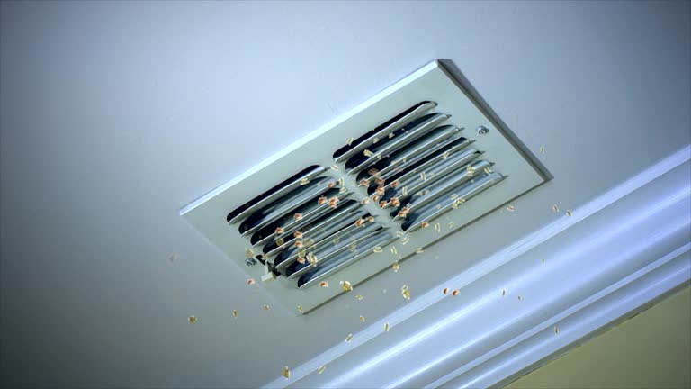 Best Ductwork Cleaning Services  in Bryn Mawr Skyy, WA